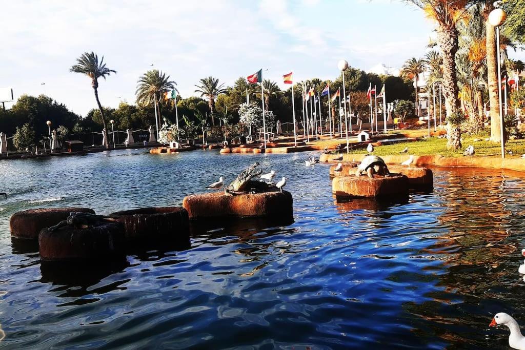 Appartamento Adventure Harbour Torrevieja Esterno foto